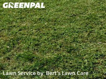 Lawn Cutting nearby Fort Lauderdale, FL, 