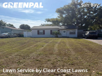 Lawn Servicein Tampa,33611,Yard Cutting by Clear Coast Lawns, work completed in Dec , 2025