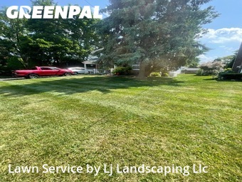 Lawn Care Service nearby Springfield, DE, 