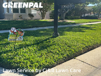 Lawn Care nearby Land O' Lakes, FL, 