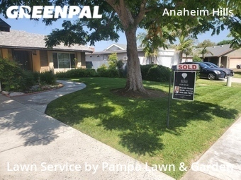 Lawn Mowing nearby Anaheim, CA, 