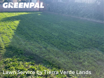 Work completed by the-yard-cutting-businesses-in-Lynwood-CA