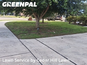 Grass Cutting nearby San Antonio, TX, 