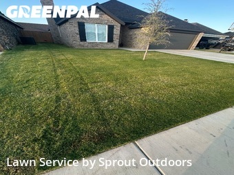 Lawn Mow nearby Wolfforth, TX, 