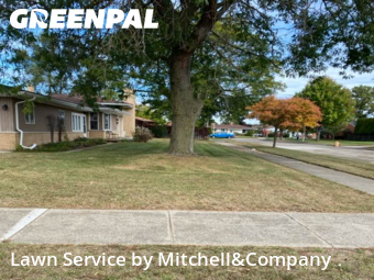 Lawn Maintenance in Westland, 48185, Yard Care by Mitchell&Company, work completed in Nov , 2025