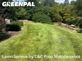 Yard Upkeep in Chapel Hill, 27517, Yard Services by C&C Prop Maintenance, work completed in Nov , 2025