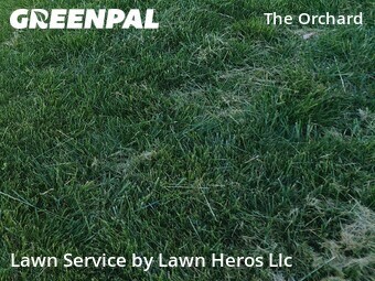 Lawn Care Service nearby Greensboro, NC, 