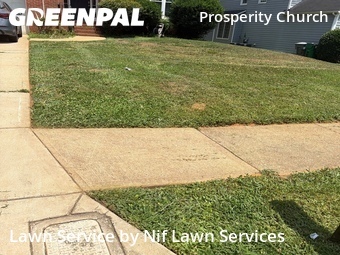 Grass Cutting nearby Charlotte, NC, 