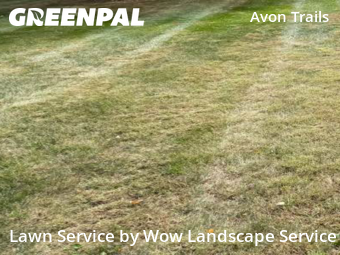 Turf Services in Avon, 46123, Property Maintenance by Wow Landscape Service, work completed in Nov , 2025