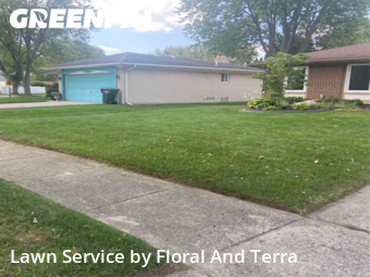 Yard Cutting nearby Sterling Heights, MI, 