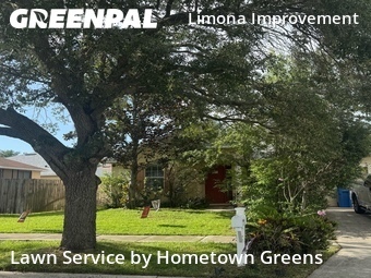 Lawn Mowing Service nearby Brandon, FL, 