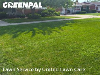 Grass Cut nearby Eastpointe, MI, 