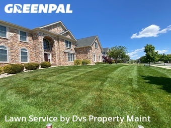 Yard Mowing nearby Bear, DE, 