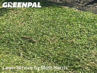 Lawn Mow nearby Margate, FL, 