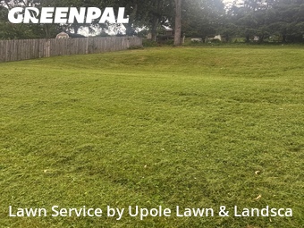 Lawn mowed in Bethel Park, 15102