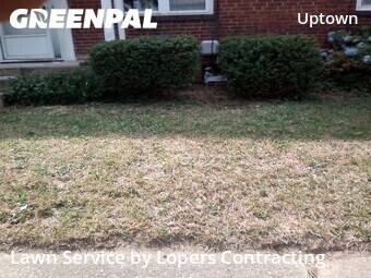 Lawn Care Service nearby Harrisburg, PA, 