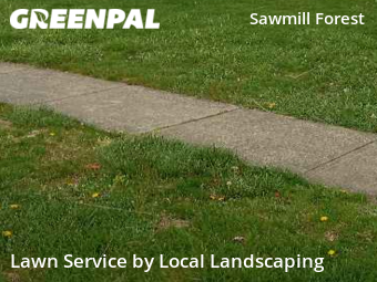 Yard Mowing nearby Dublin, OH, 