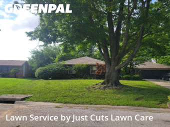 Grass Cut nearby Belleville, IL, 