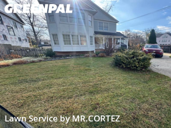 Grass Cutting in Bethesda, 20814, Turf Services by MR.CORTEZ, work completed in Nov , 2025