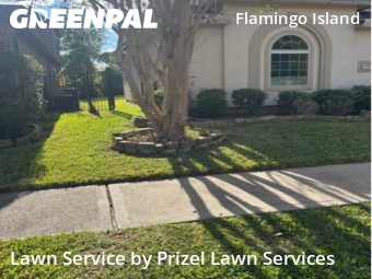 Lawn Mowingin Missouri City,77459,Yard Cutting by Prizel Lawn Services, work completed in Feb , 2026