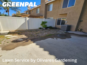professional-lawn-care-service-in-Torrance-CA