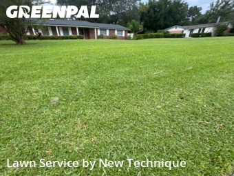 Lawn Cuttingin Altamonte Springs,32701,Yard Mowing by New Technique, work completed in Nov , 2025