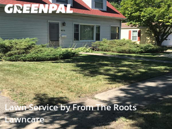 Grass Cutting nearby Elmhurst, IL, 