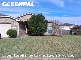 Lawn Cutin Pearland,77584,Lawn Service by Larios Lawn Services, work completed in Feb , 2026