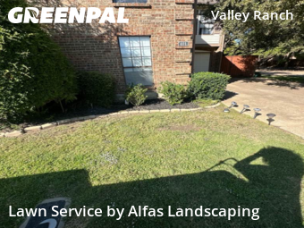 Landscapers In Irving,75063,Landscaping Installation by Alfas Landscaping, work completed in Oct , 2025