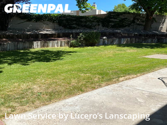 Lawn Service nearby Albuquerque, NM, 