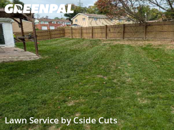 Grass Cut nearby Allison Park, PA, 