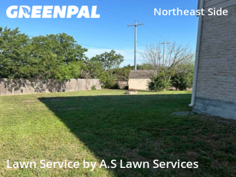 Lawn Mowing Service nearby Schertz, TX, 