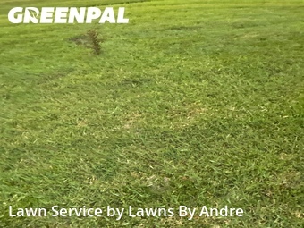 Grass Cut nearby Daytona Beach, FL, 