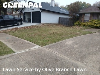 Grass Cutin Keller,76248,Lawn Cutting by Olive Branch Lawn, work completed in Feb , 2026