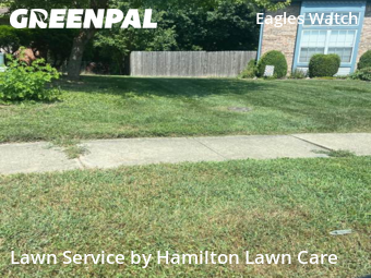 Lawn Cut nearby Indianapolis, IN, 