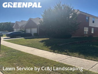 Lawn Cut nearby Garland, TX, 