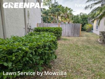 Lawn Care nearby Tampa, FL, 