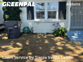 Lawn Service nearby Long Beach, CA, 