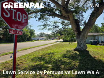 Lawn Cut nearby Tampa, FL, 