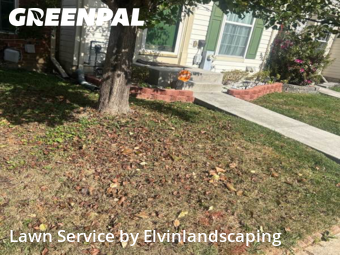 Backyard Mowing in Owings Mills, 21117, Yard Services by Elvinlandscaping, work completed in Nov , 2025