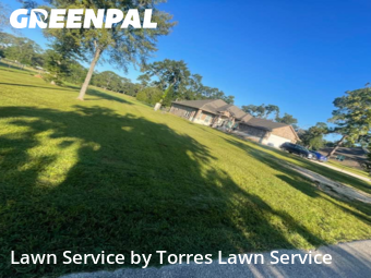 Grass Cutting nearby Conroe, TX, 