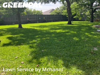 Lawn Mowin Hurst,76053,Lawn Maintenance by Mchanni, work completed in Nov , 2025