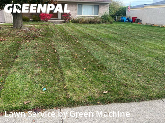 Grass Cut nearby Southfield, MI, 