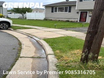Grass Cut nearby Carteret, NJ, 