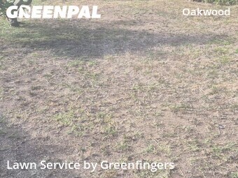 Landscaping In Los Angeles,90291,Landscaping Renovation by Greenfingers , work completed in Jun , 2026