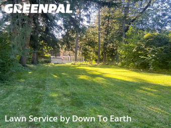 Grass Cutting nearby Saginaw, MI, 