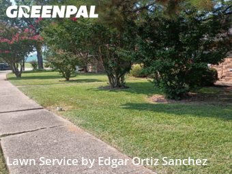 Garden Trimming in Sachse, 75048, Yard Work by Edgar Ortiz Sanchez, work completed in Nov , 2025