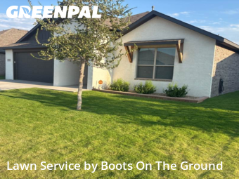 Yard Cutting nearby Wolfforth, TX, 