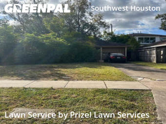 Grass Cutin Bellaire,77401,Grass Cut by Prizel Lawn Services, work completed in Jan , 2026