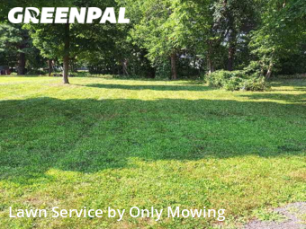 Yard Mowing nearby Delmar, NY, 